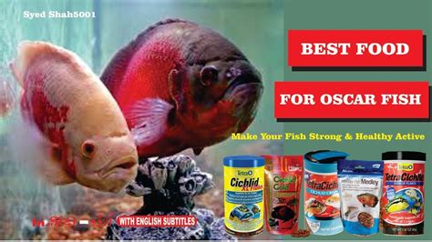 oscar fish food list.